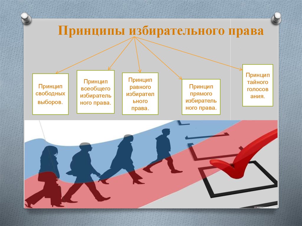 Активное избирательное право mos ru. Принципы организации избирательного процесса.