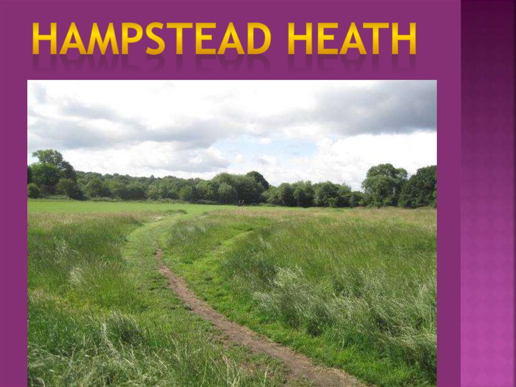 Hampstead Heath