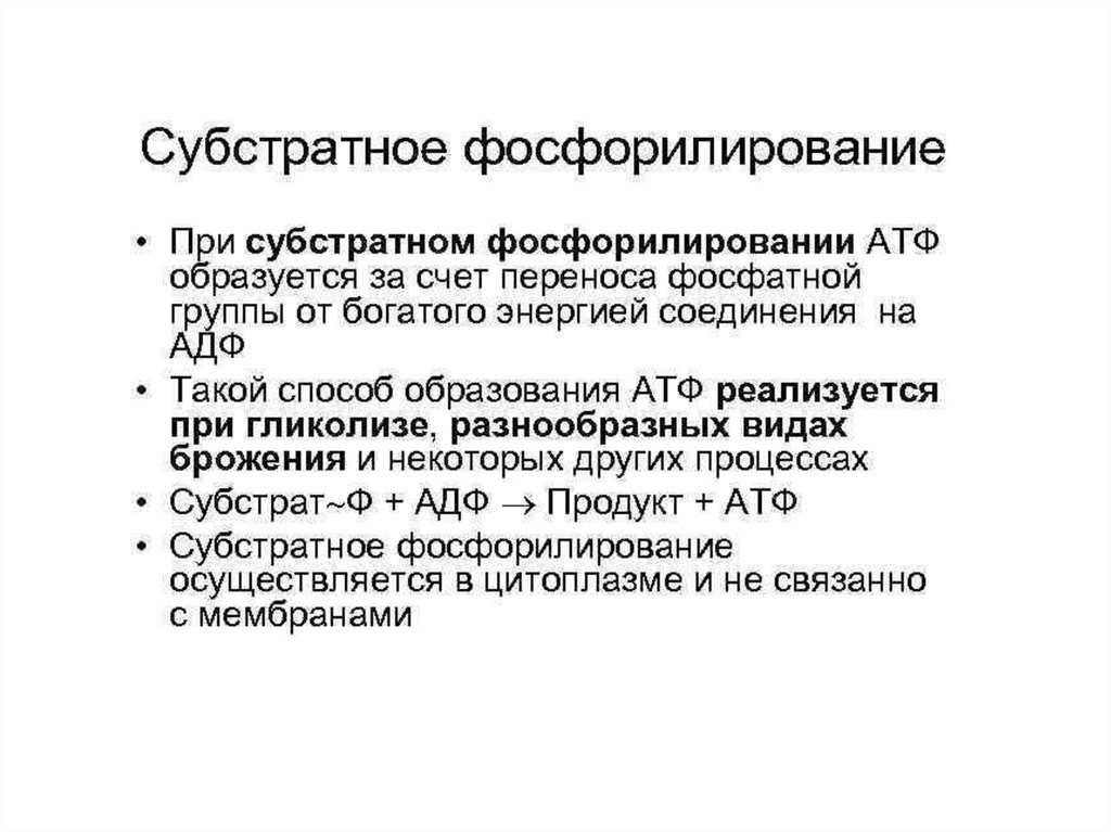 Схема субстратного фосфорилирования брожения. Механизм субстратного фосфорилирования значение. Субстратное фосфорилирование биохимия. Субстратное фосфорилирование схема.