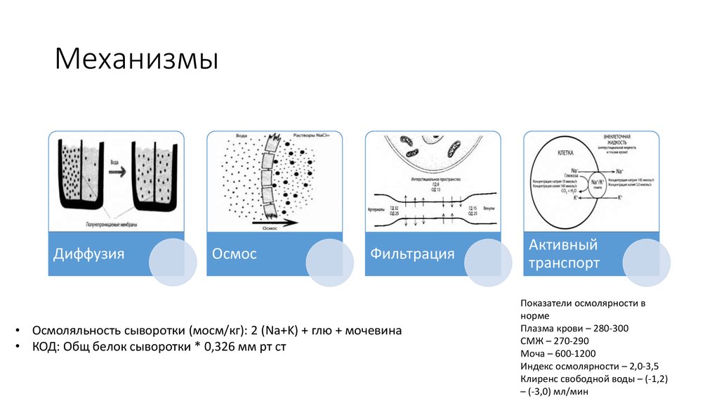 Осмос транспорт веществ. Диффузия осмос активный транспорт. Диффузия осмос фильтрация. Пассивный транспорт: диффузия, осмос, фильтрация.. Механизм осмоса.