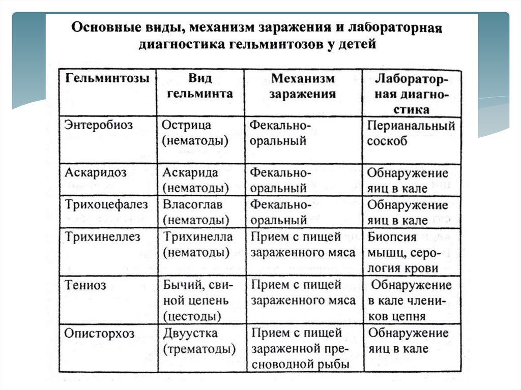 Проанализируйте и запишите основные способы заражения