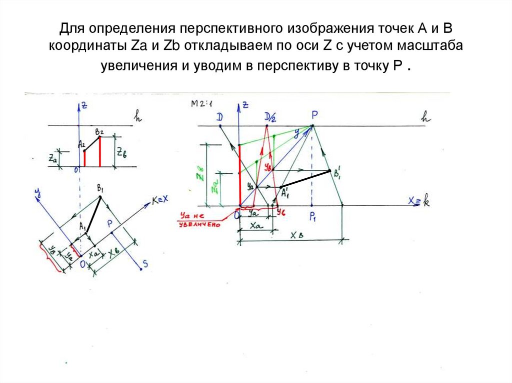 Определите масштаб увеличения