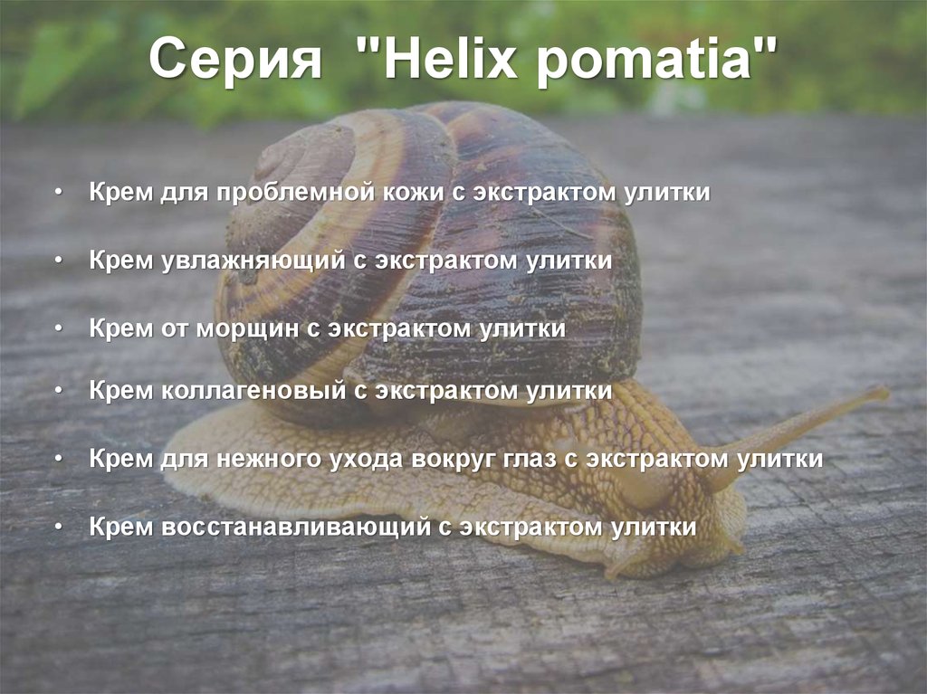 Серия  "Helix pomatia"
