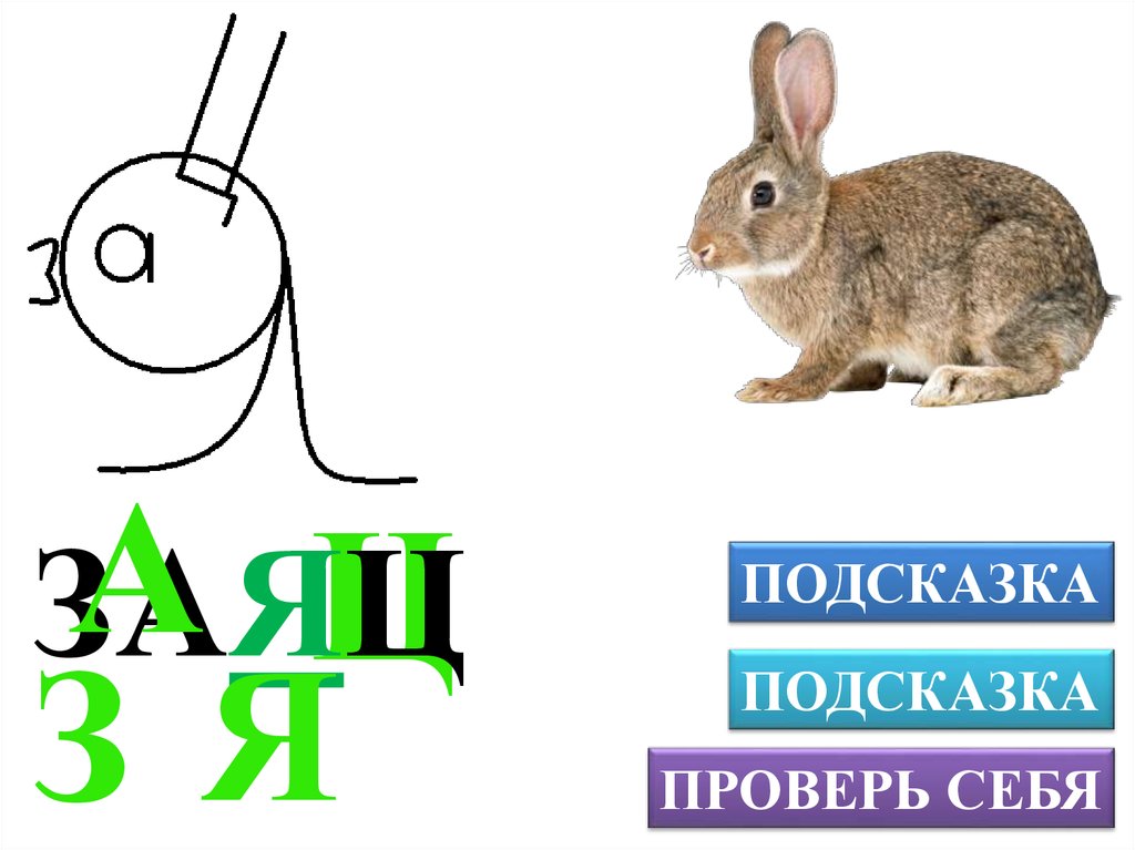 Суффикс слова зайцы. Слово заяц. Словарное слово заяц. Ребус заяц. Ребус для дошкольников в картинках заяц.
