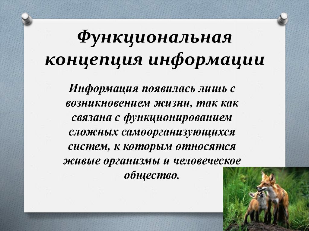 Функциональная концепция. Функциональная концепция информации. Понятие информации функциональная концепция. Функциональная философская концепция информации. Функциональная информация примеры.