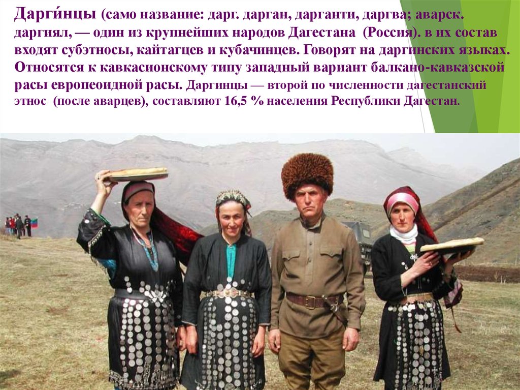 Кто такие даргинцы. Национальные костюмы Дагестана даргинцы. Даргинцы народы Кавказа. Нация даргинец.