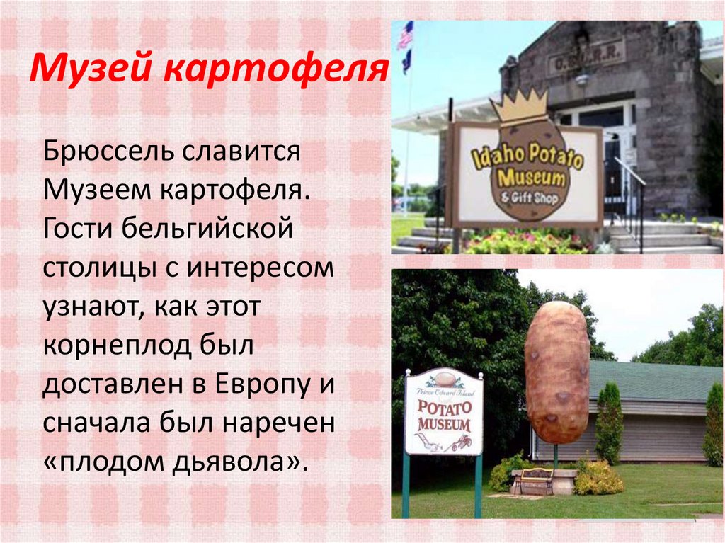 Музей картофеля в брюсселе фото