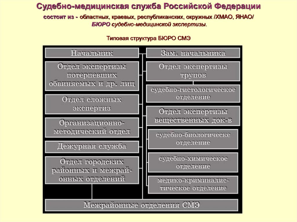 Приказ 346н о судебно медицинской экспертизе