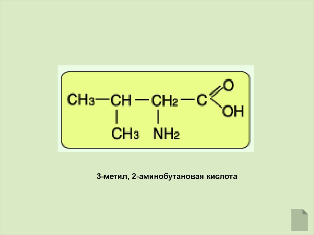 2 аминобутановая кислота формула. 3 Метил 2 аминобутановая кислота. 3 Метил 2 аминобутановая кислота структурная формула. 2 3 Диметил 4 аминобутановая кислота. Структурная формула 2 метил 4 аминобутановая кислота.