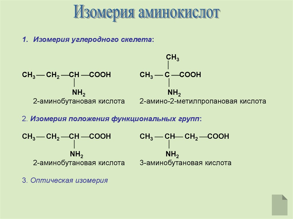 Изомерия аминов. Амины. Изомерия. Номенклатура Аминов.. Изомерия положения аминогруппы аминокислот. Изомерия углеродного радикала. Изомерия углеродного скелета аминокислот.