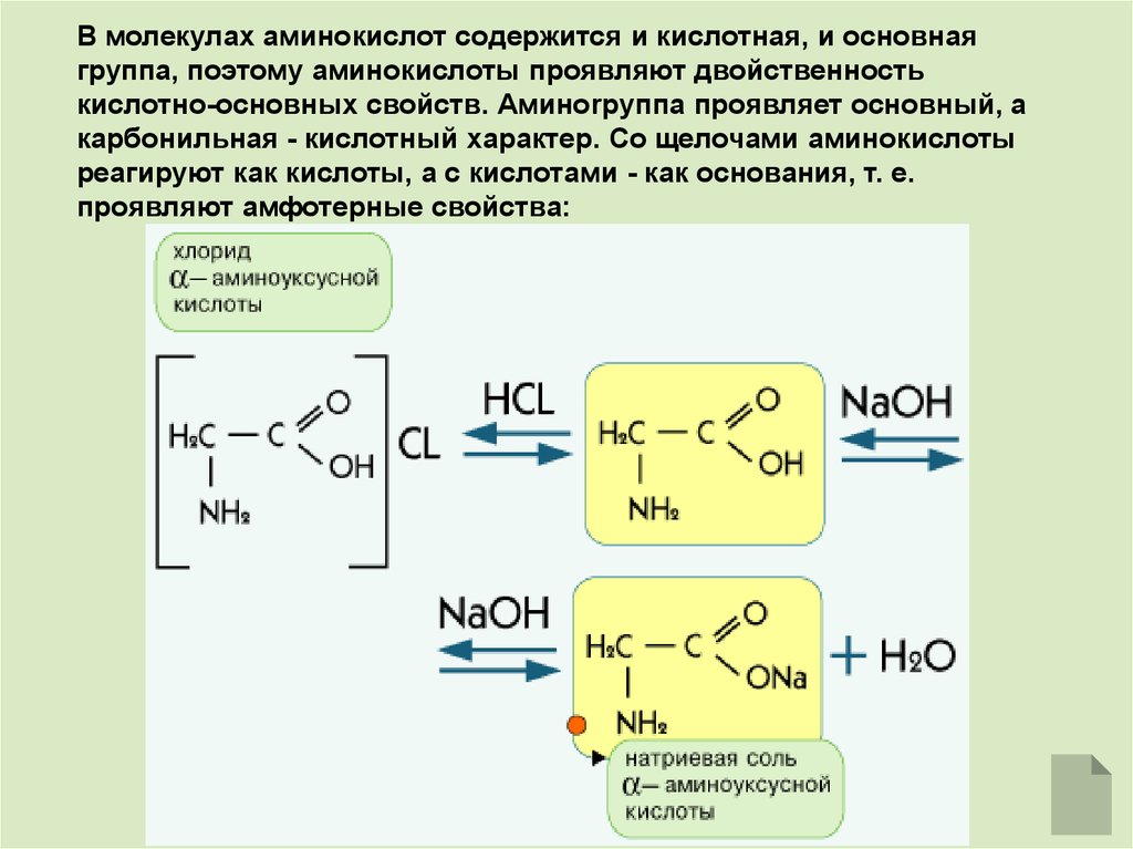 Свойства аминов кислотами. Карбонильная группа в глицине. Химические свойства основных аминокислот. Двойственность кислотно-основных свойств аминокислот. Кислотно-основные свойства α-аминокислот.