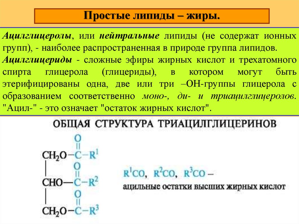 К простым липидам относятся