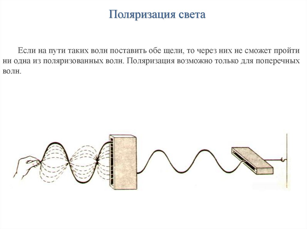 Поляризация света