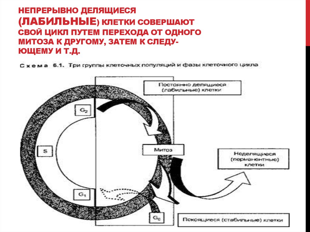 Цикл путь