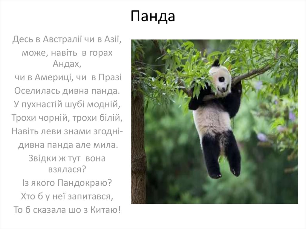 Панда - презентация онлайн