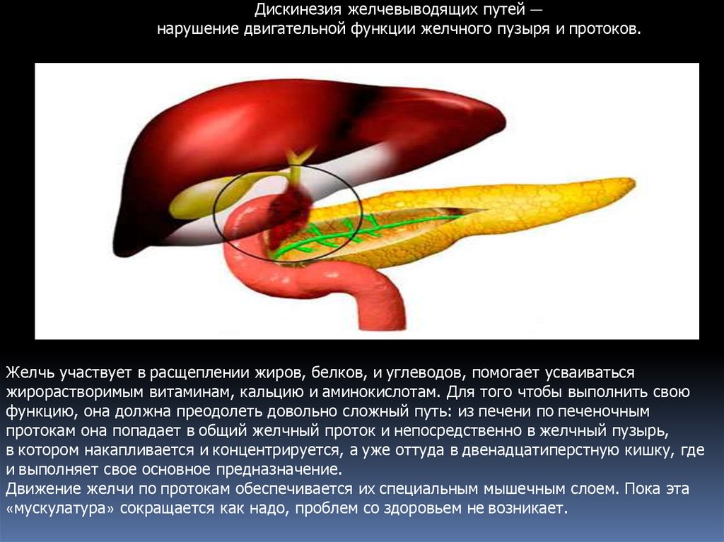 Для заболеваний печени характерно