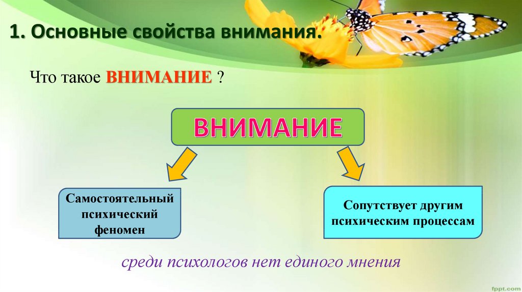 Значение внимания. Отметьте качества, которые отсносяться к понятию 