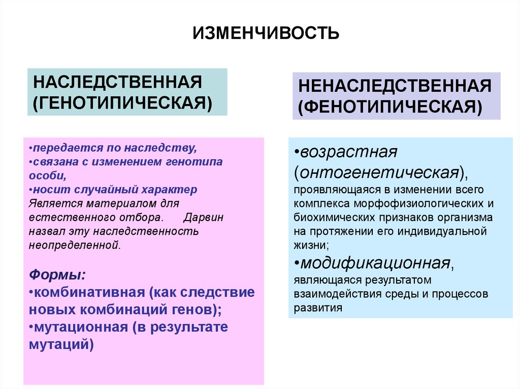 Ненаследственные изменения организма. Формы наследственности.