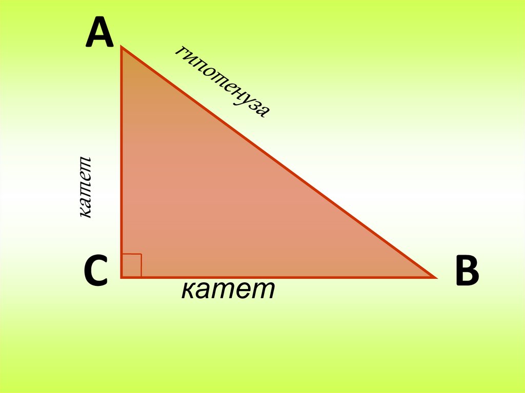 Что такое катет. Объемный прямоугольный треугольник. Трехмерный прямоугольный треугольник. Прямоугольный треугольник фигура. Развертка прямоугольного треугольника.