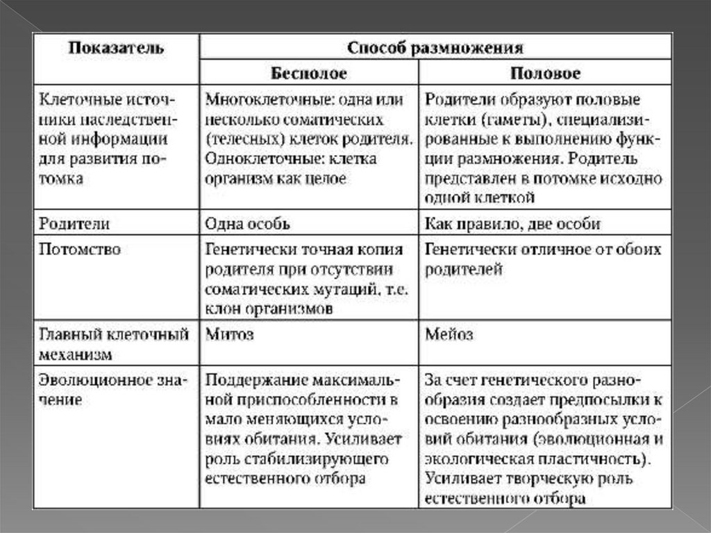 Таблица форма бесполого размножения схема процесса представители