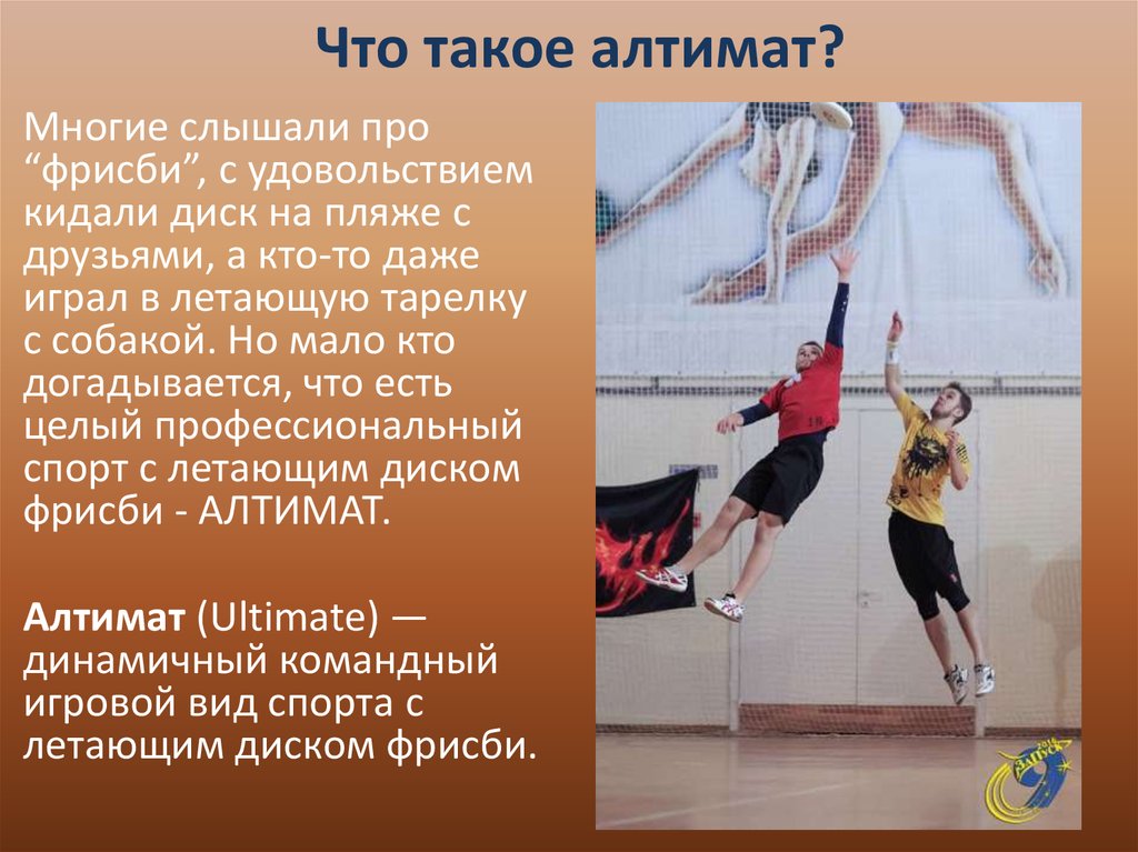 Алтимат фрисби - презентация онлайн