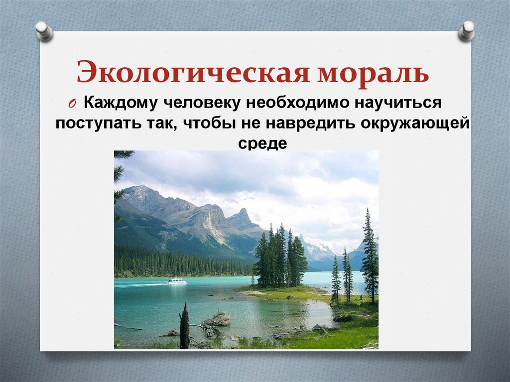 Охранять природу значит охранять жизнь презентация 7 класс обществознание боголюбов