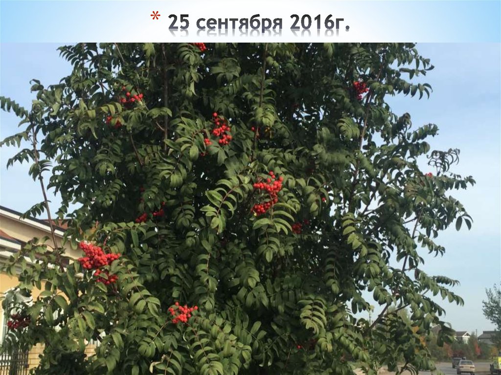 25 сентября 2016г.