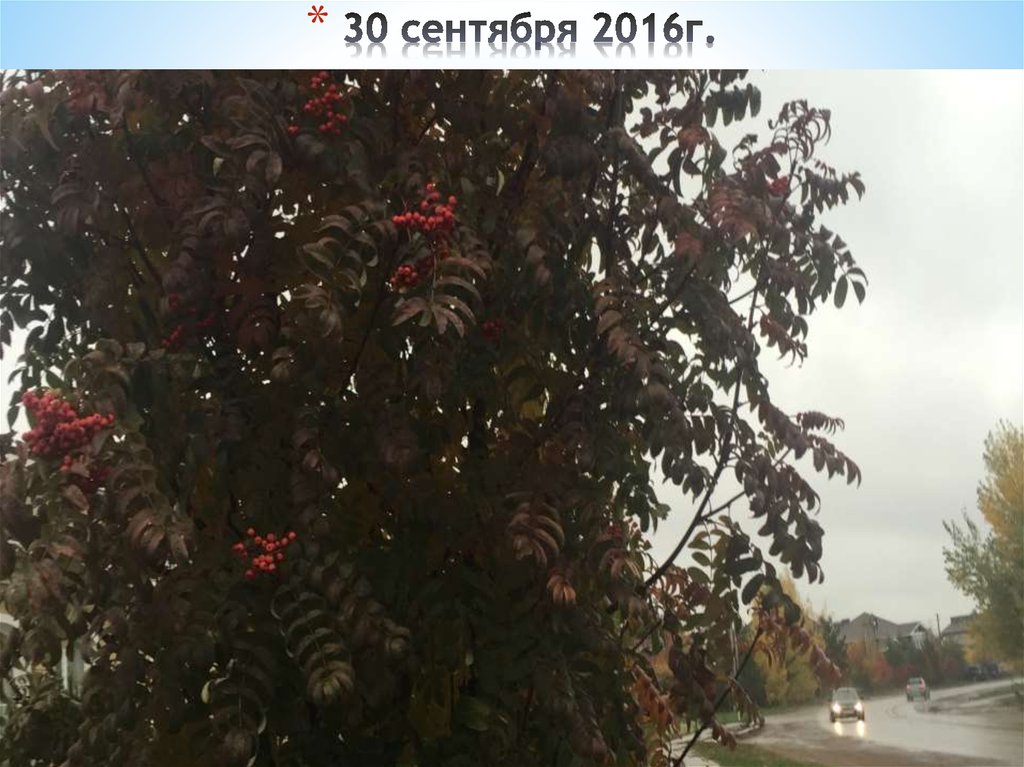 30 сентября 2016г.