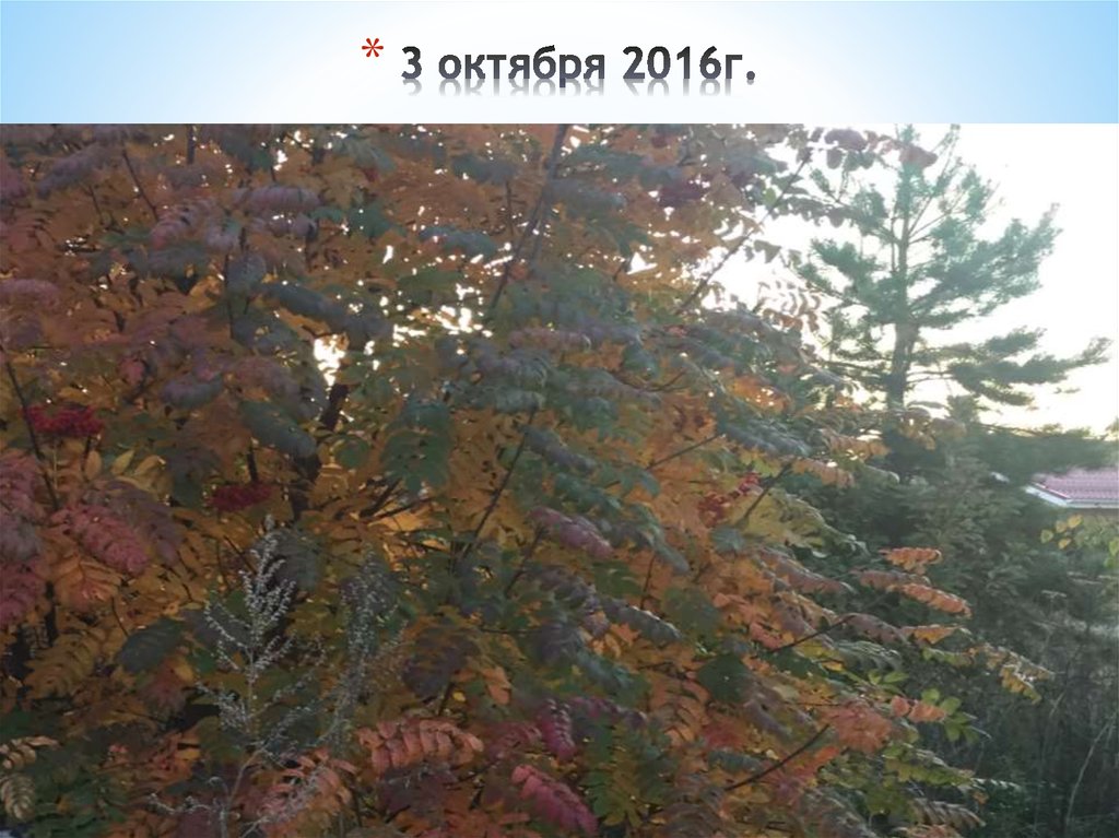 3 октября 2016г.