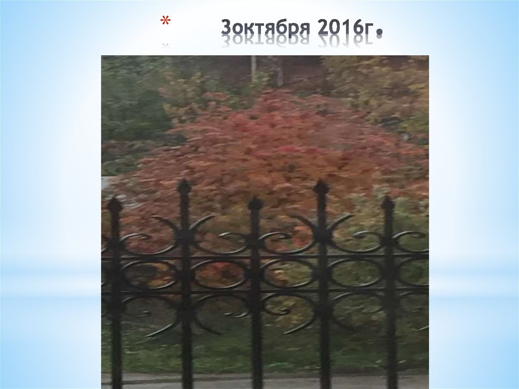 3октября 2016г.