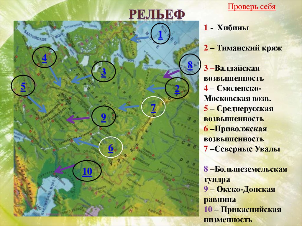 Природная зона смоленской области. Окско Донская равнина на карте. Окско Донская низменность на карте России. Окско-Донская низменность на карте. Окско Донская возвышенность на карте.