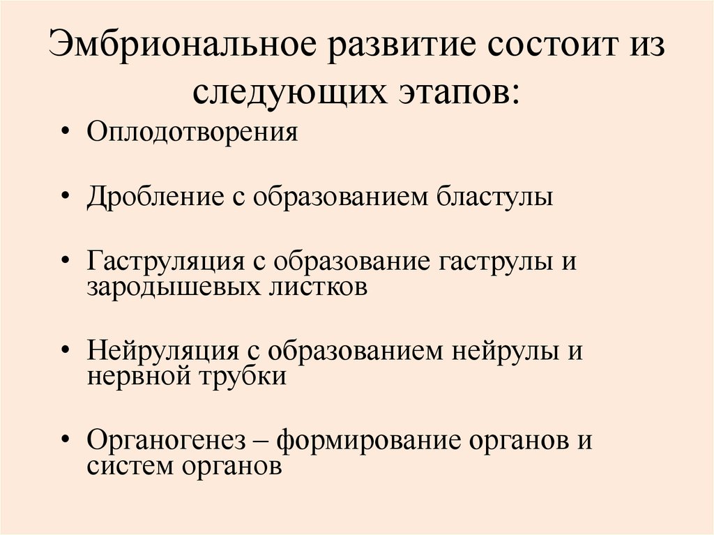 Эмбриональное развитие человека презентация 10 класс