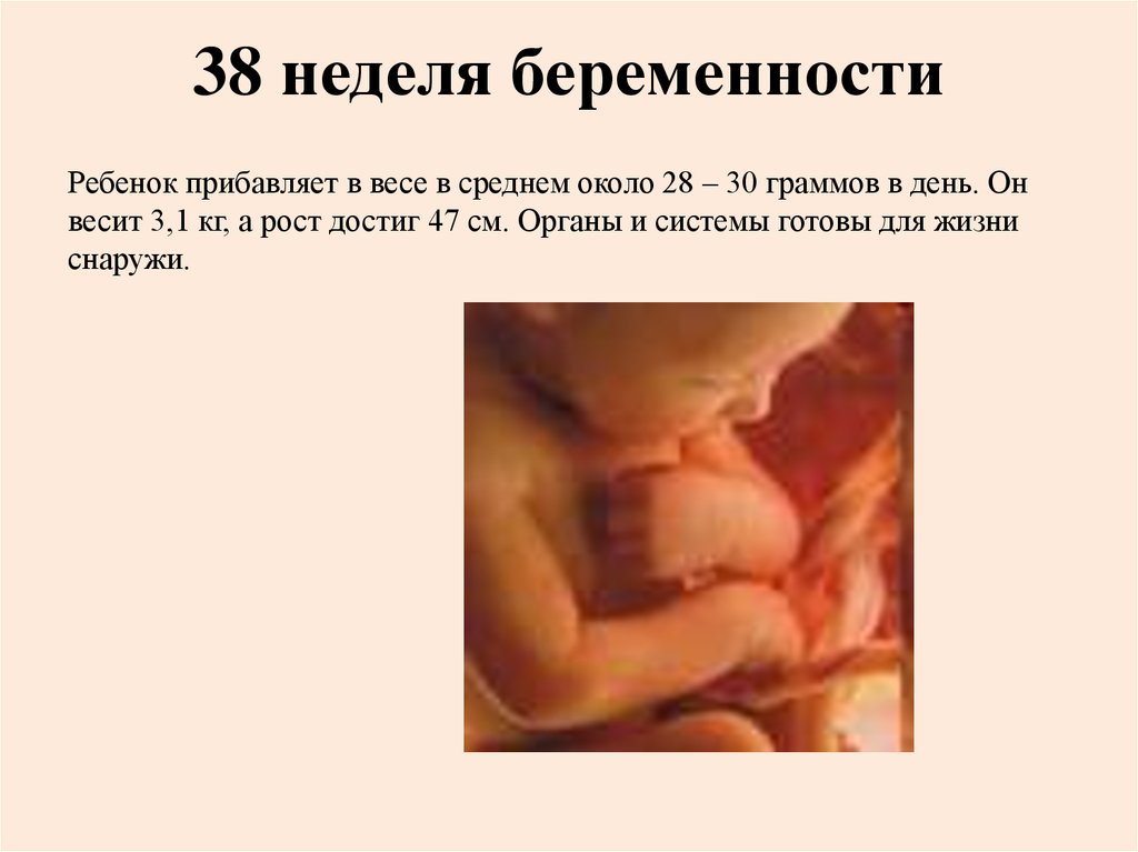 38 неделя беременности первые роды