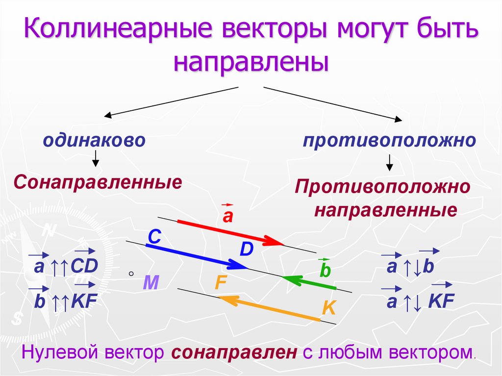 Векторы сонаправлены