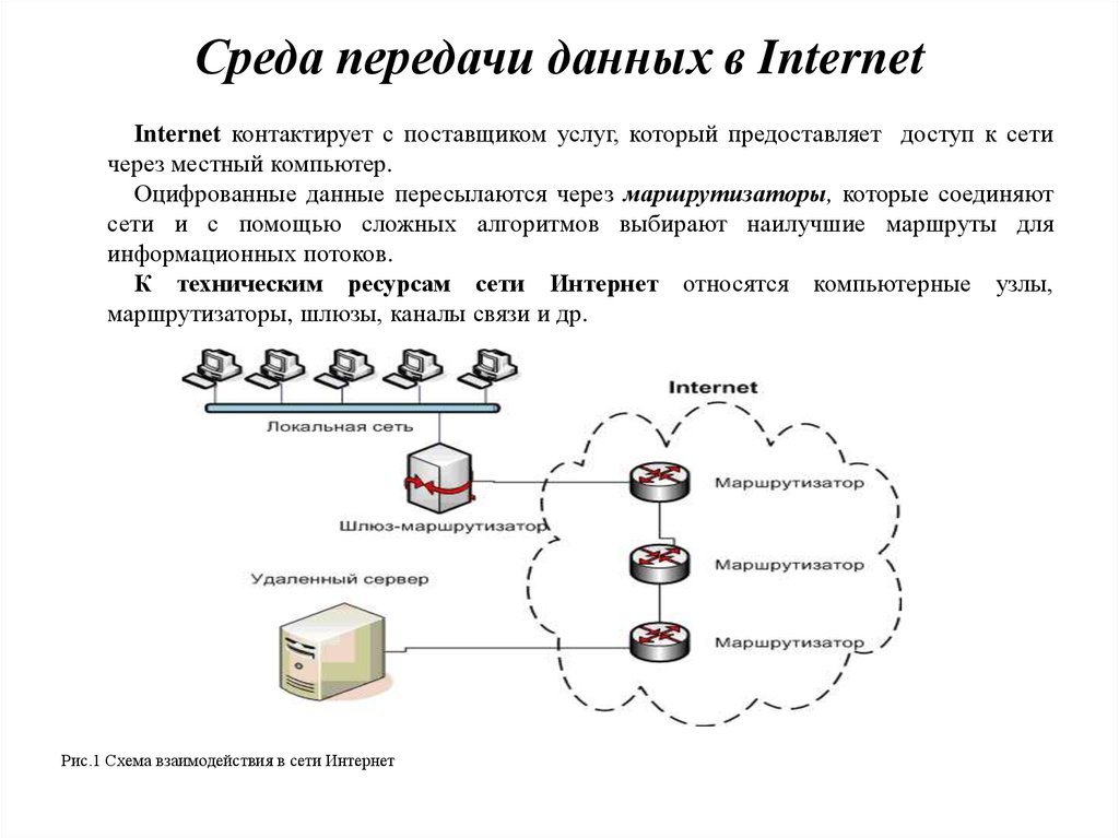 Реферат: Основные сервисы глобальной сети Internet