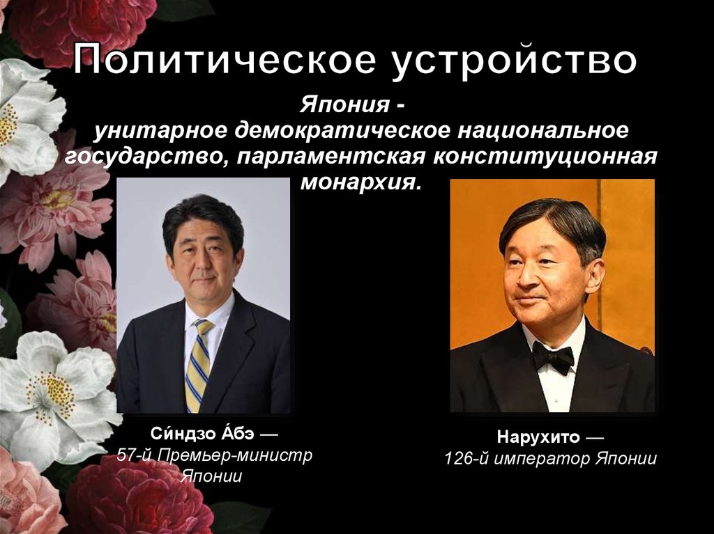 Устройство японии. Государственное устройство Японии. Государственно-политическое устройство Японии. Политико-государственное устройство Японии. Политическая Японии.