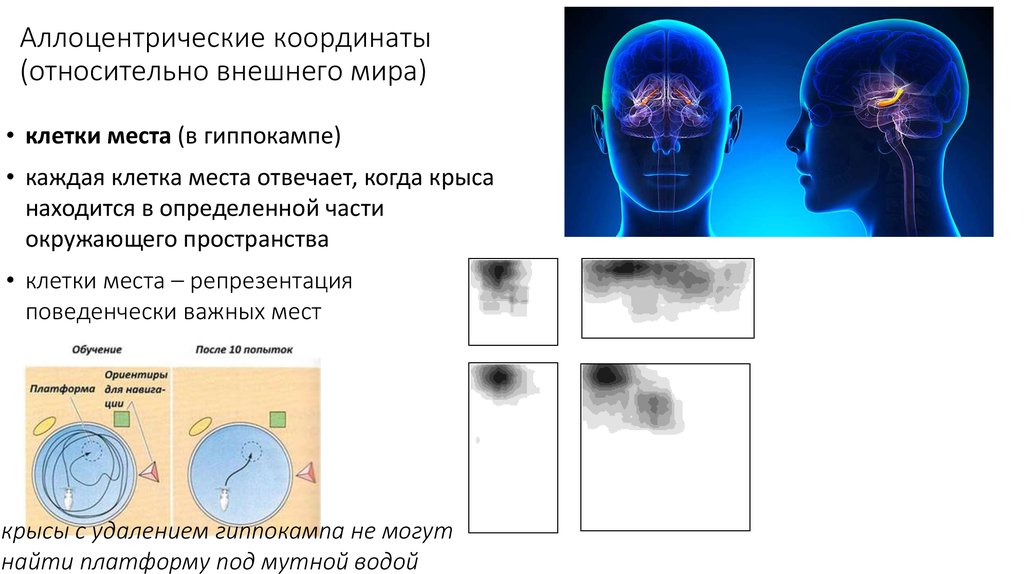 Внешнее относительно