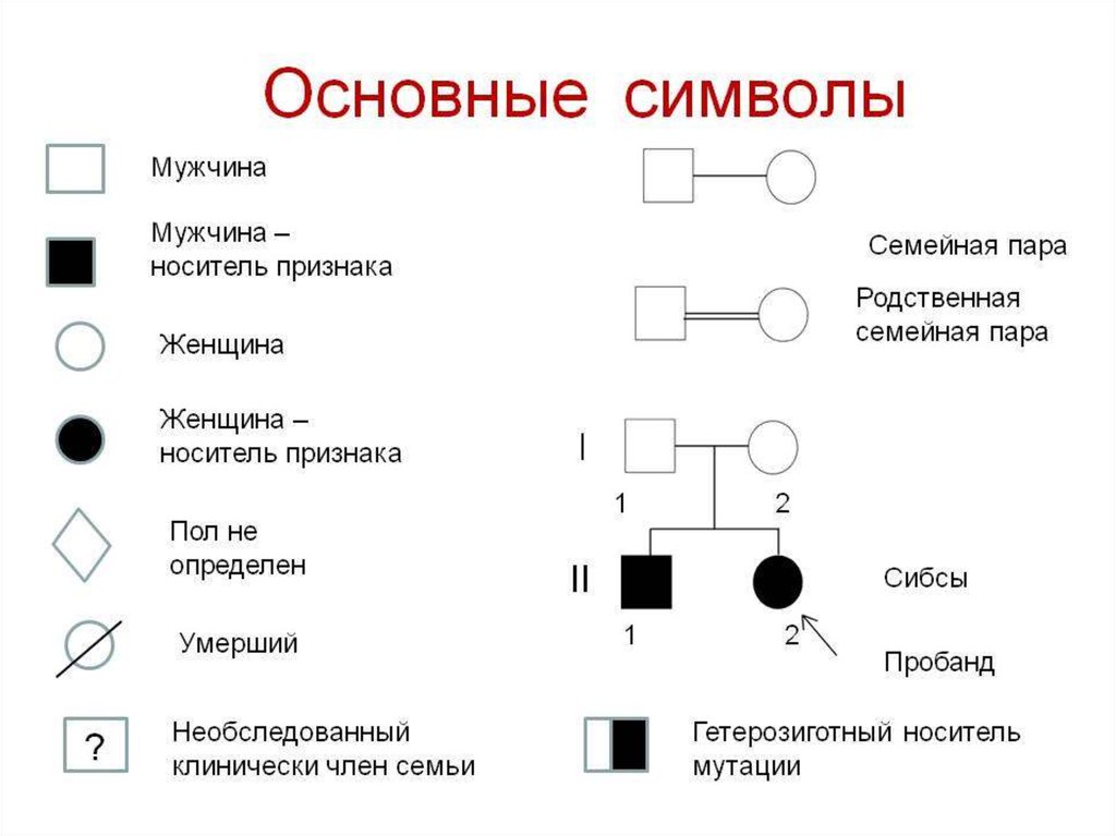 Типы моногенного наследования схема