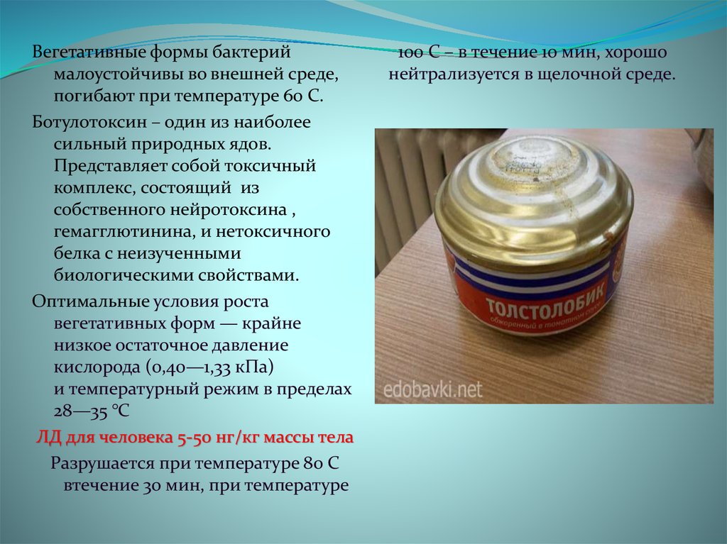 Ботулотоксин разрушается при кипячении. Ботулизм погибает при температуре. Споры ботулизма погибают при температуре. Ботулизм убивается при температуре,. Вегетативные формы микроорганизмов это.