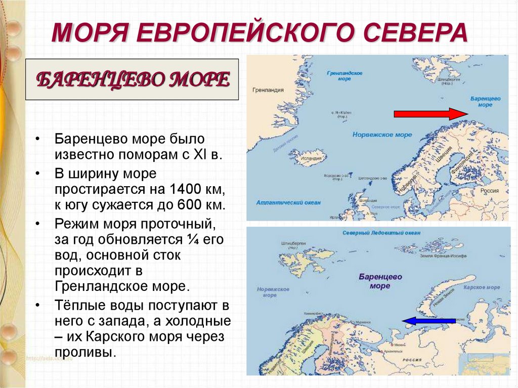 Особенности природы баренцева моря