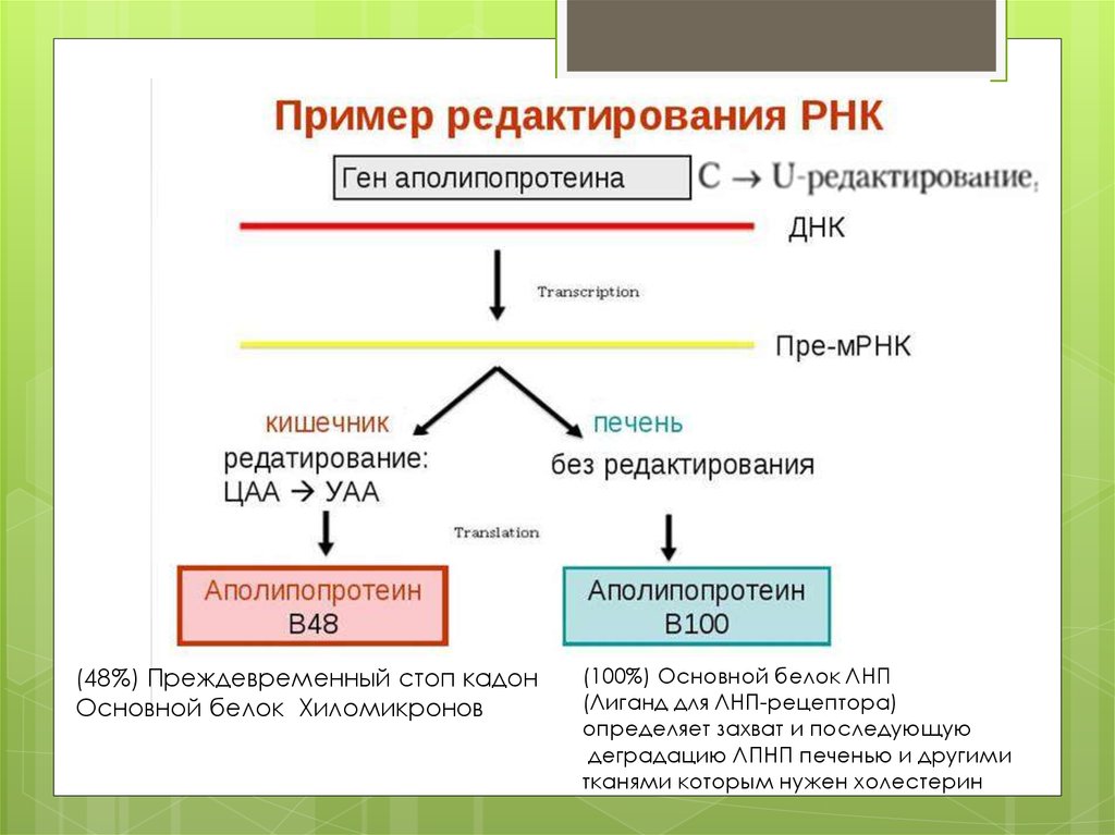 Редактирование рнк