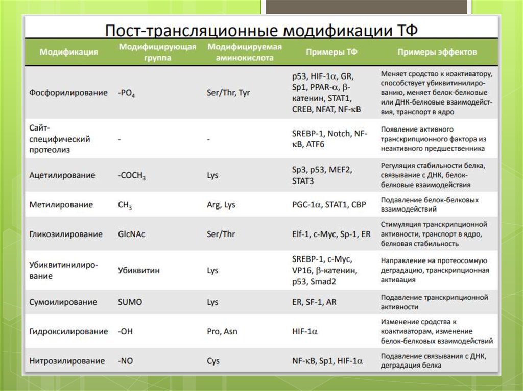 Посттрансляционная регуляция экспрессии. Фосфорилирование транскрипционных факторов. Примеры модификаций. Факторы стабильности белков.