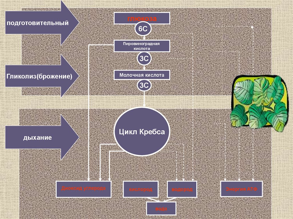 Проект второй группы