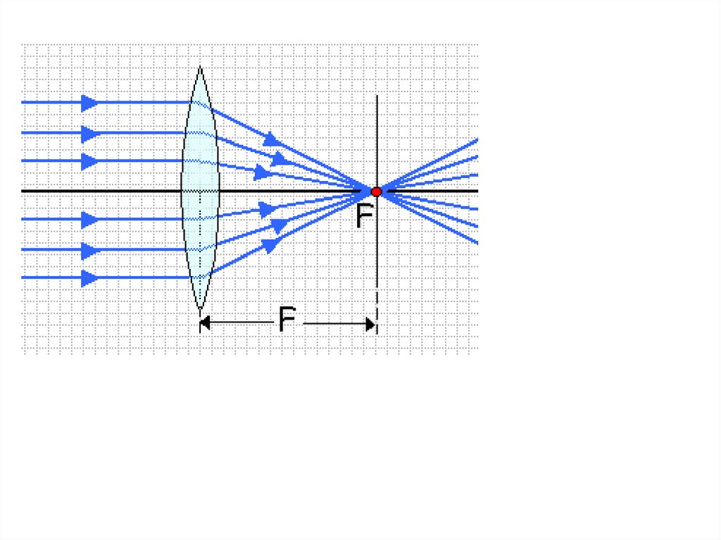 Какие линзы являются собирающими рисунок