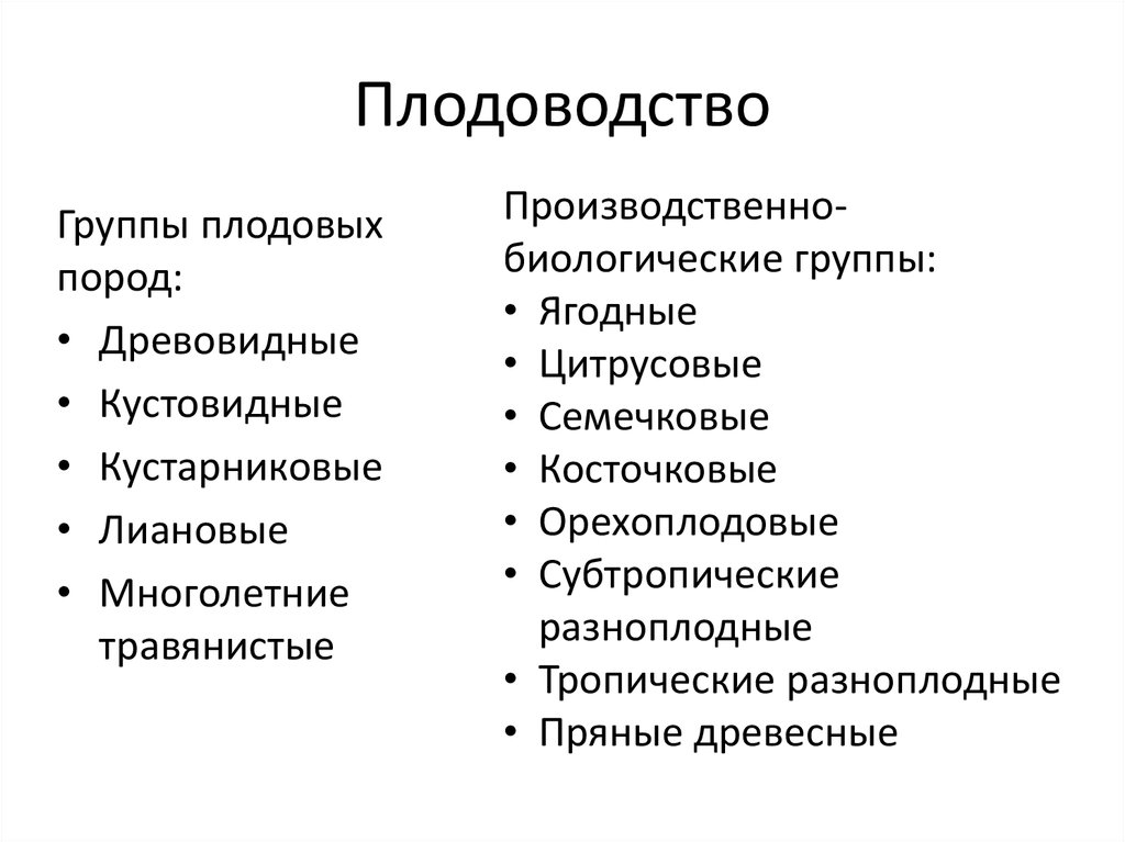 Проект по плодоводству