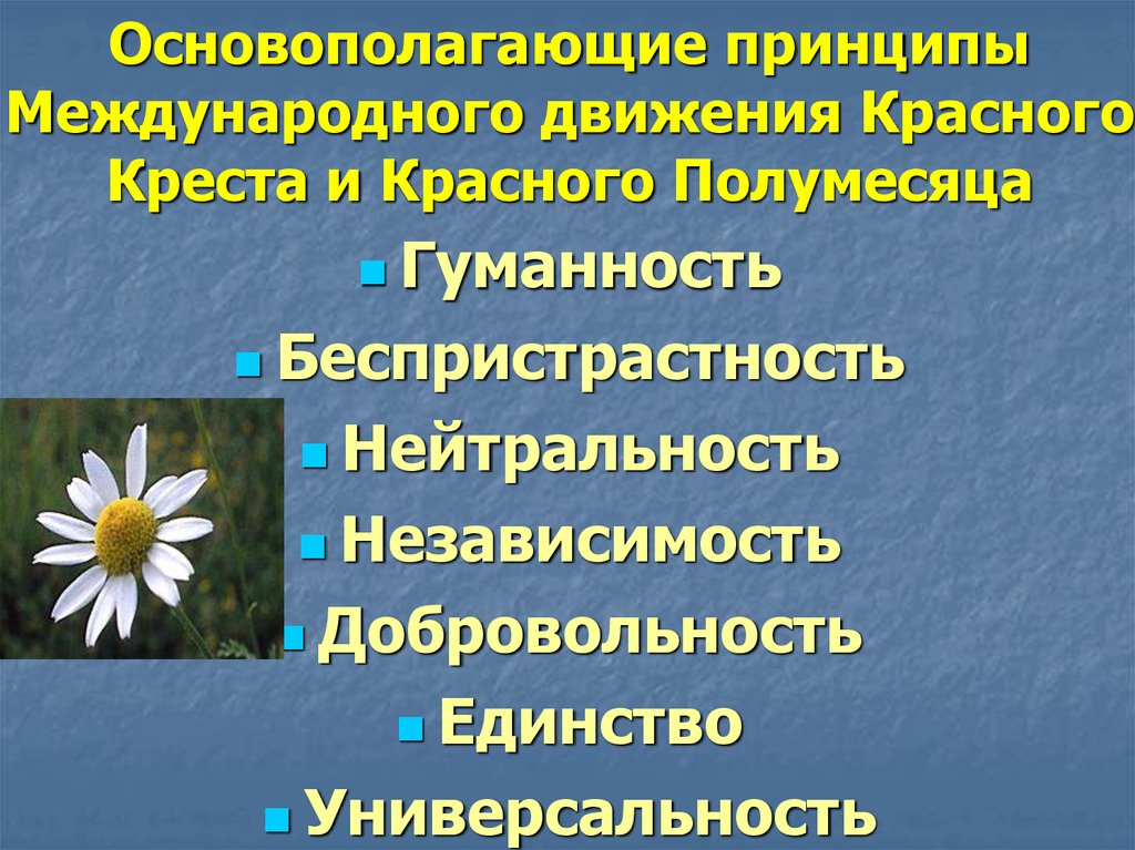 Деятельность красного креста и красного полумесяца презентация