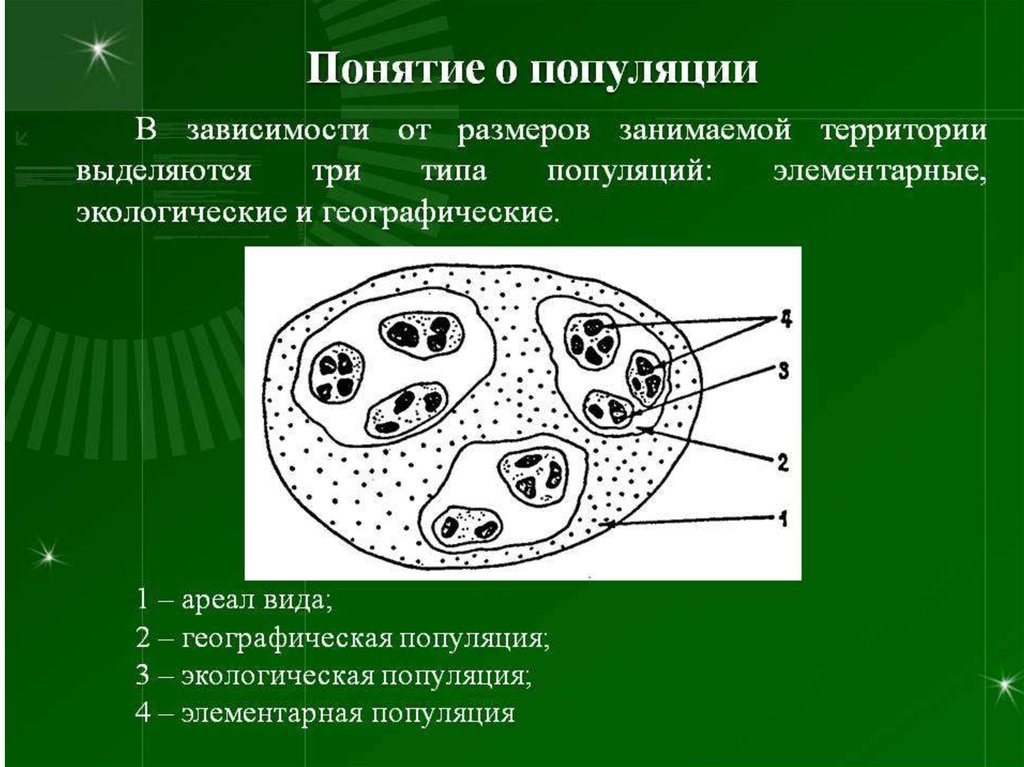 Обычно под структурой популяции понимают