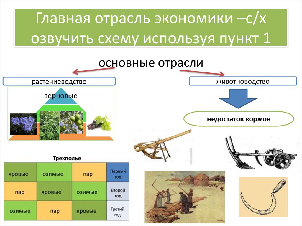 Заполните схему используя пункт 1 параграфа 20