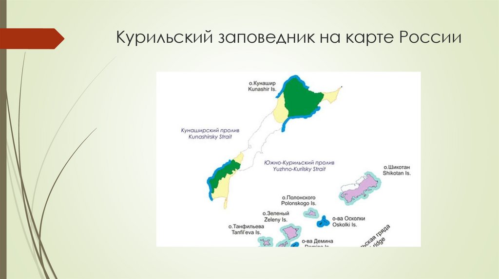 Курильский заповедник презентация