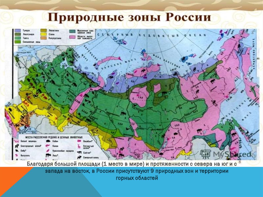 Какой природной зоны нет на европейской территории. Карта природных зон России 8 класс география. Карта природных зон России для начальной школы. Карта природных зон России география.